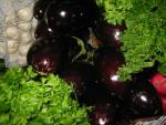 aubergine