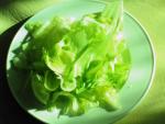eisbergsalat