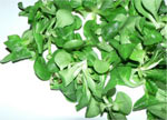 feldsalat