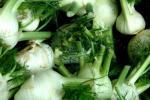 fenchel