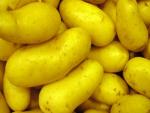 kartoffeln
