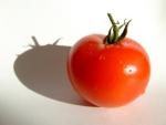 tomate