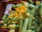 zucchini