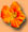 Zia's Symbol: Eine Bl&uuml;te der Kapuzinerkresse